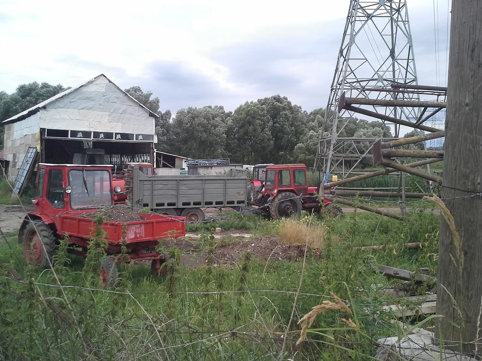 Traktor MTZ s návěsem Fortschritt T 088 na poli
