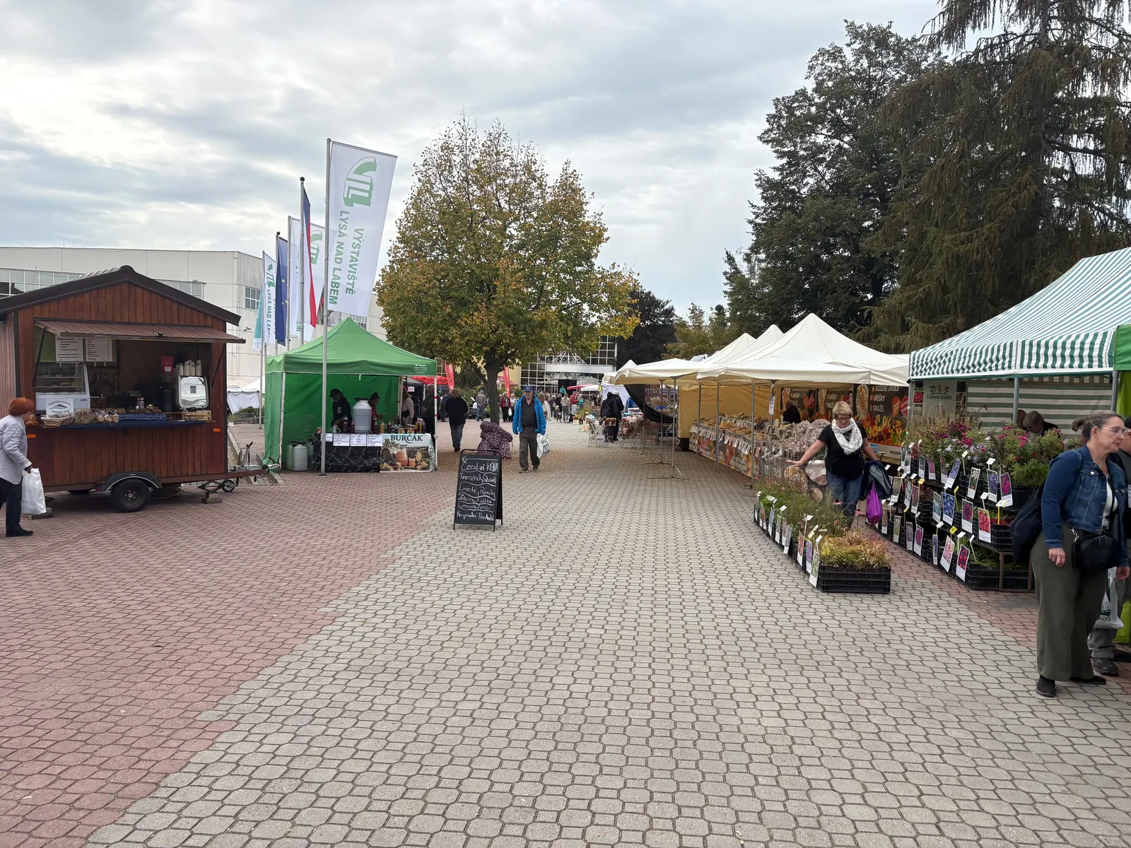 Venkovní ulice se stánky, stany a květinami na výstavišti